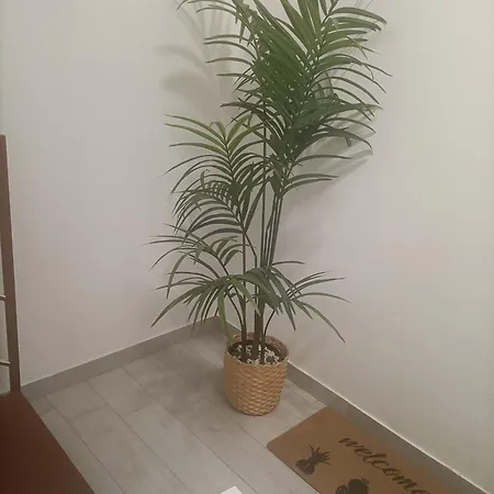 Airportandbeachhouse 3* Catânia